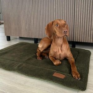 Hubertus Gold thermodeken (op bestelling)