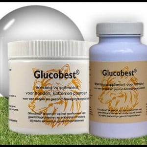 Glucobest (poeder, 250 gram)