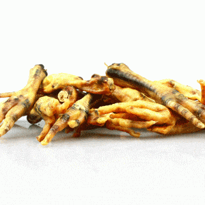 Kippenvoetjes (gedroogd)