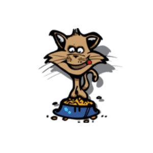 Bandit Bio Dieet Suiker/Blaas/Nierproblemen Kat 300 gram