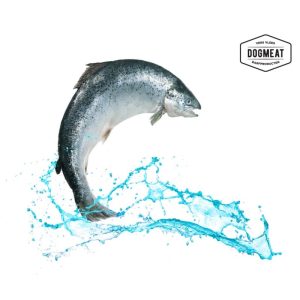 Dogmeat Zalmolie 500 ml